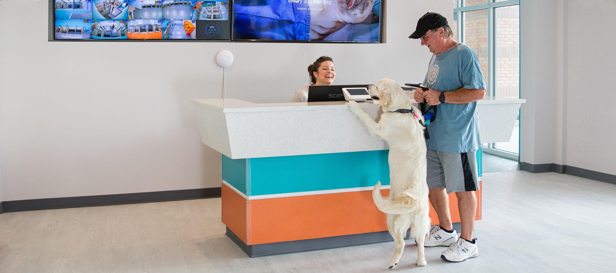 Dog Boarding Cat Boarding Dog Daycare In North Myrtle Beach SC