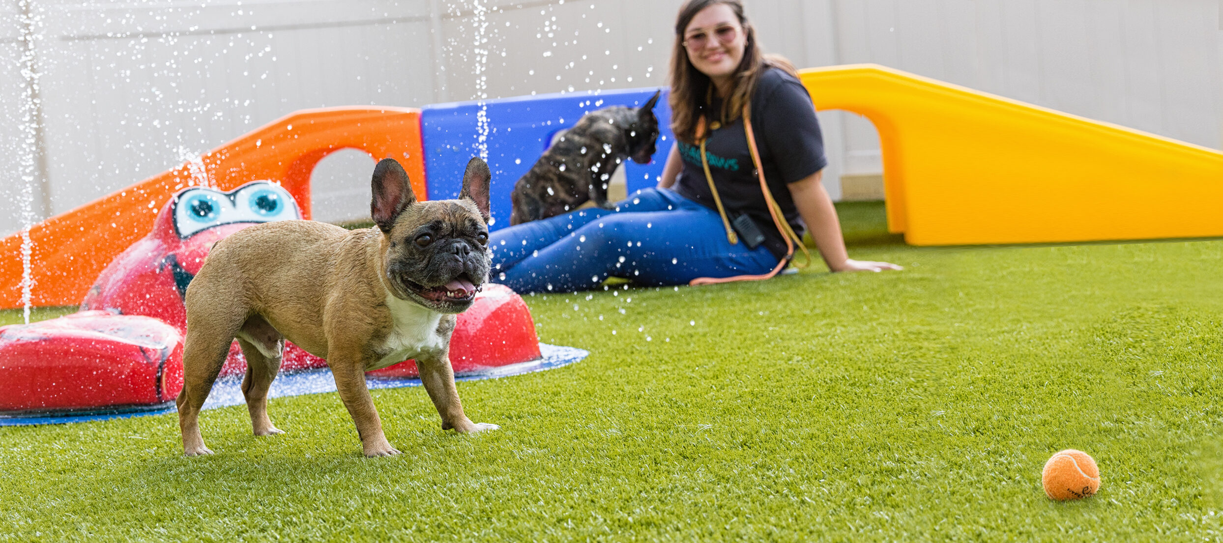 Coastal Paws Pet Resort - Image 1